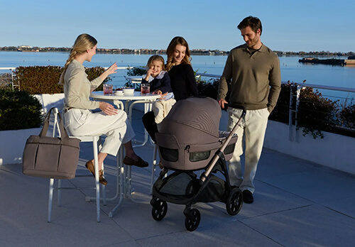 Inglesina Aptica и Aptica XT с автокреслом Darwin Recline Evo