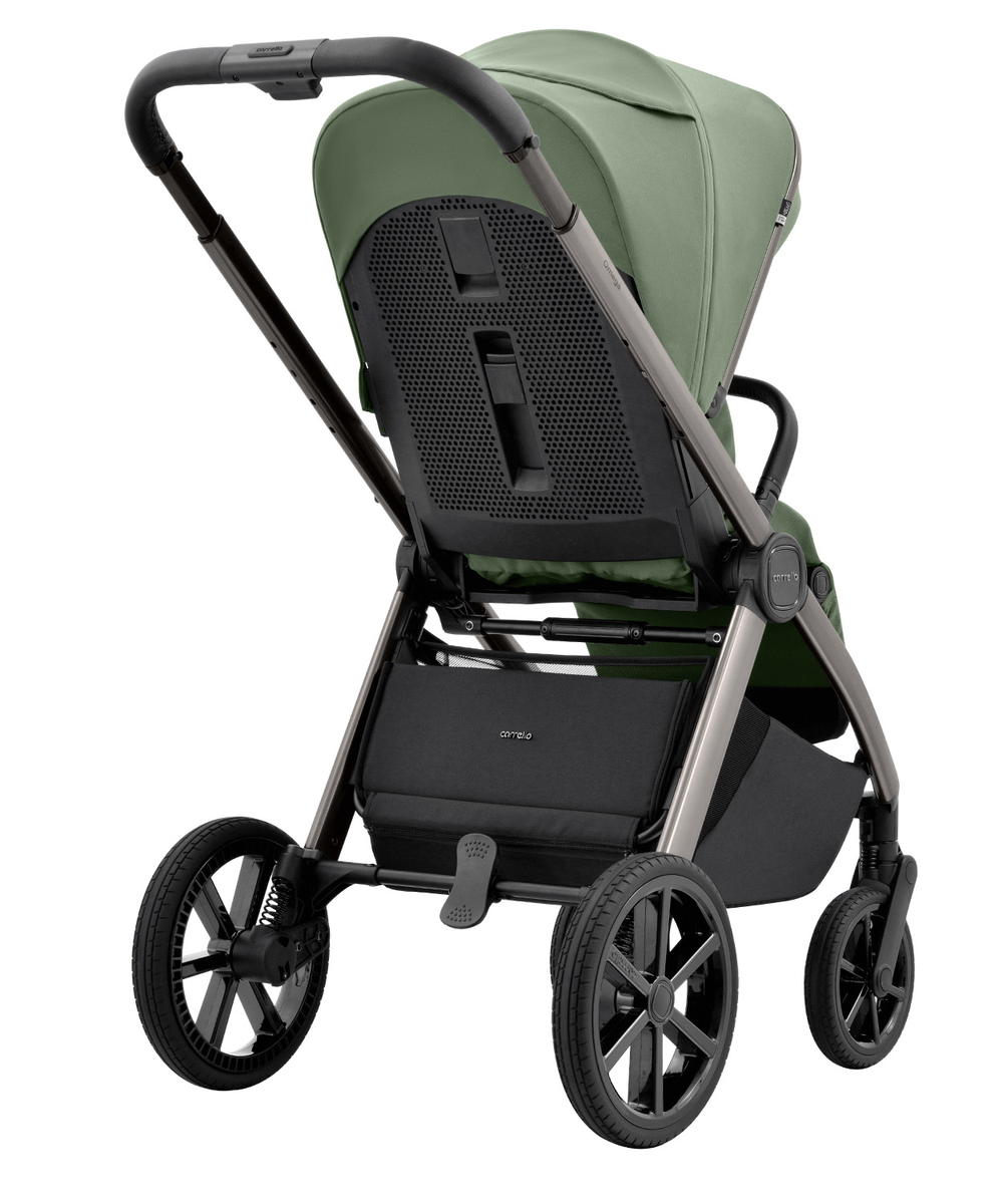 Коляска 2 в 1 Carrello Omega CRL-6530/1 Perfect Green 7qu1p07vwy5pp0tsud50lpe3mjioxmjo