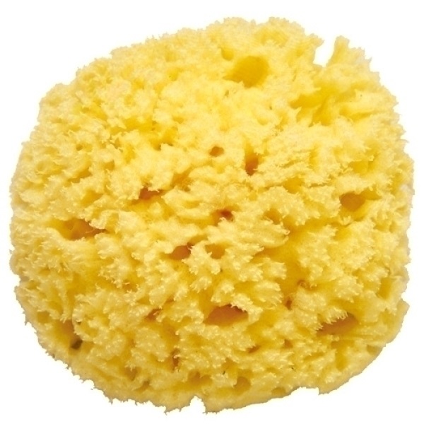 Губка OK Baby морская для купания Honeycomb №12 (стандарт)