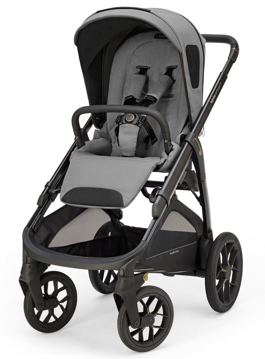 Прогулочная коляска Inglesina Aptica XT (Canyon Grey 2025)