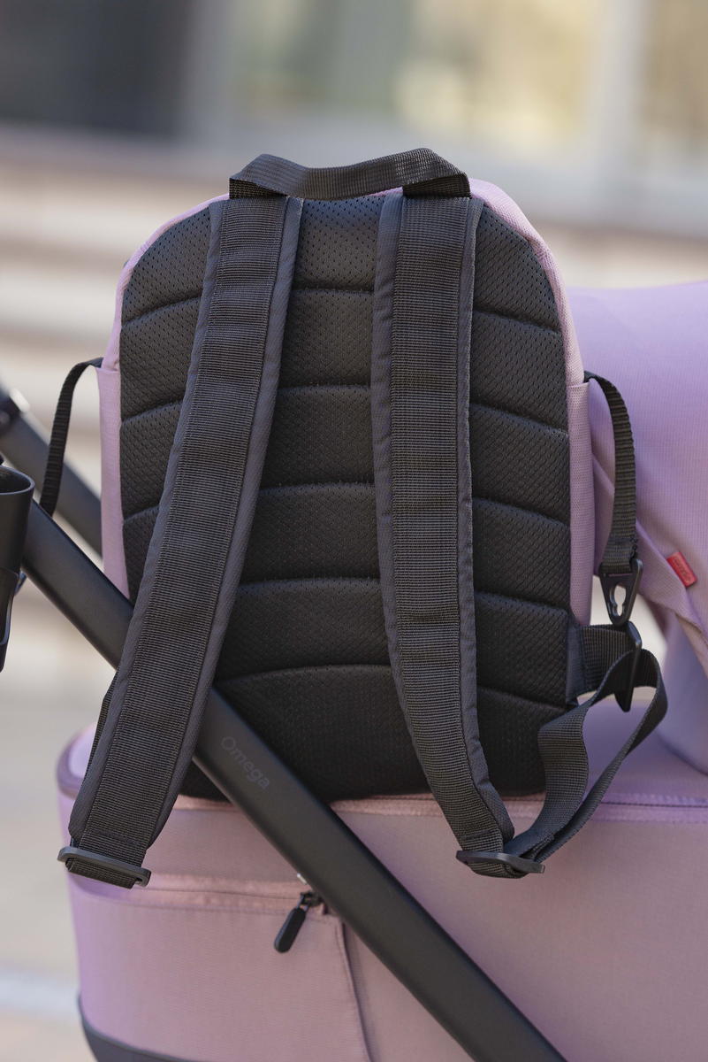 Коляска 2 в 1 Carrello Omega + CRL-6540 Galaxy Pink ah9k3liquhwft4fwct0usldex61flvir
