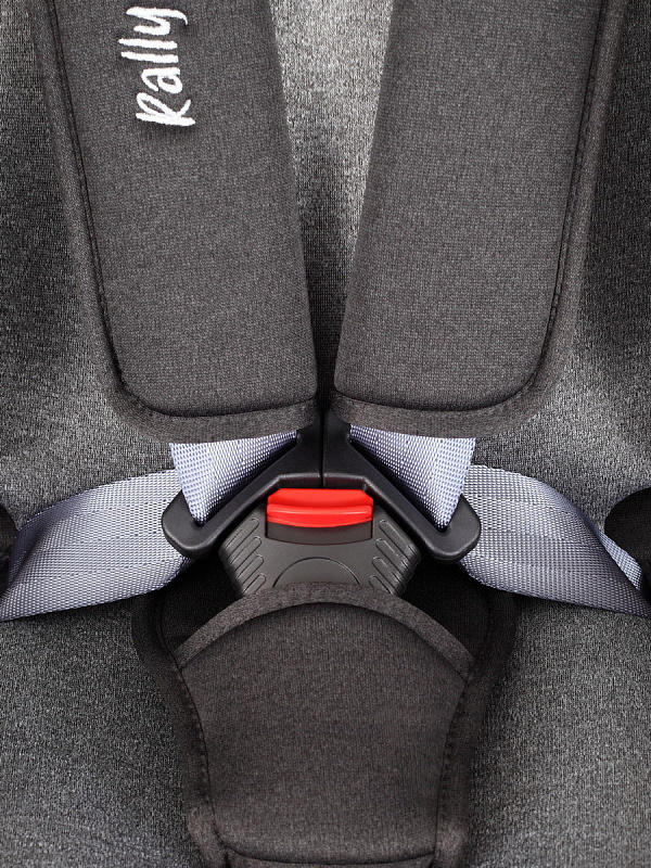 Автокресло Rant Basic Rally ZY19 (Grey)3