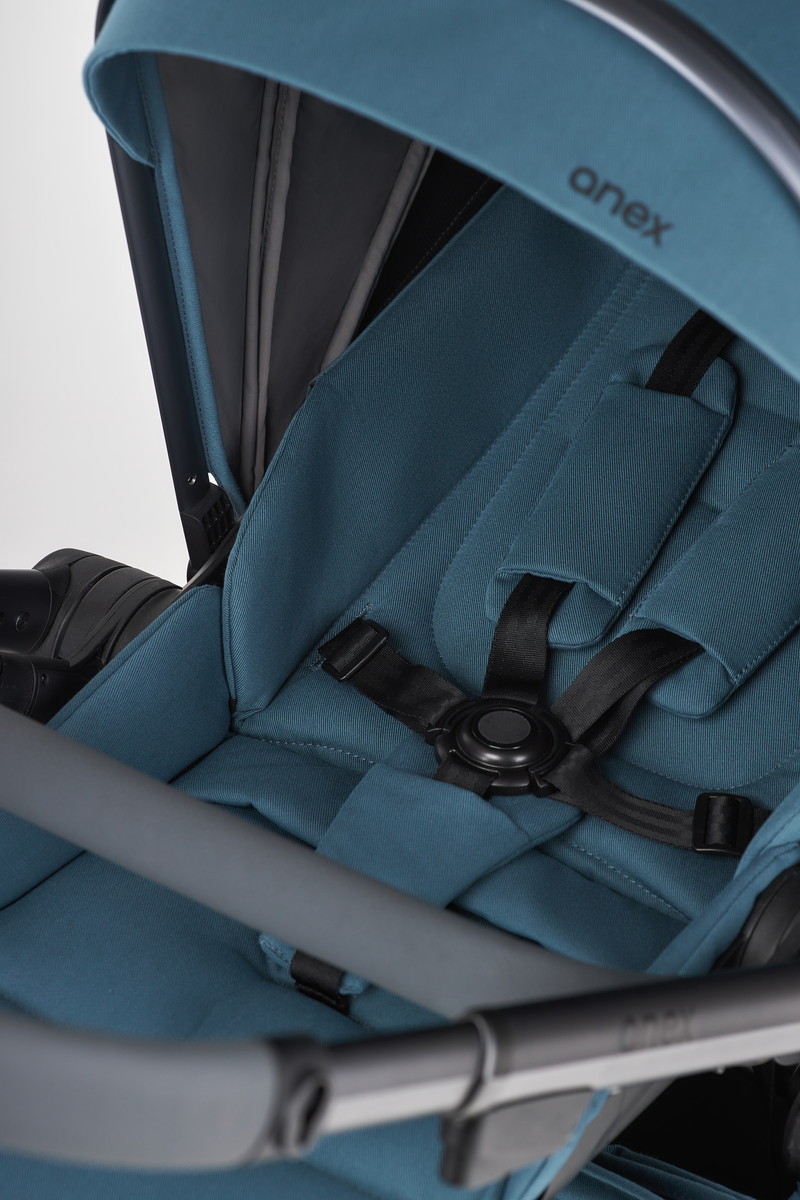 Детская коляска Anex l/type 2 в 1 с аксессуарами ocean jx29buzcj5vzqo6z01iuerpavt947j09