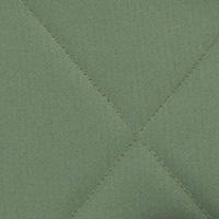 Коляска 2 в 1 Carrello Omega CRL-6530/1 Perfect Green bdujp6e3vhmvnzincmdbix3fxhviyyr0