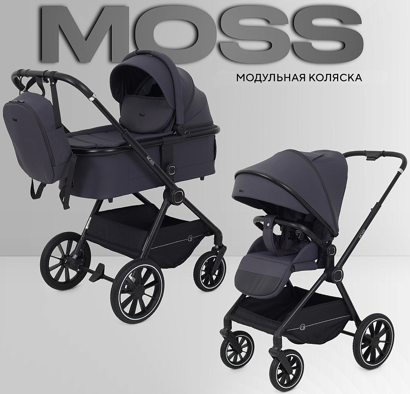 Детская коляска Rant Moss 2 в 1 Graphite1