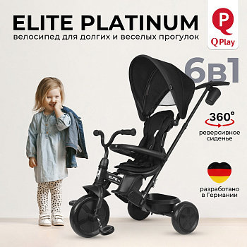 Велосипед трехколесный Qplay T10-Z Elite Platinum (Black)