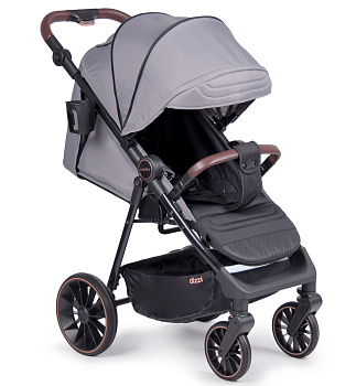 Детская прогулочная коляска Coletto Dizzi
