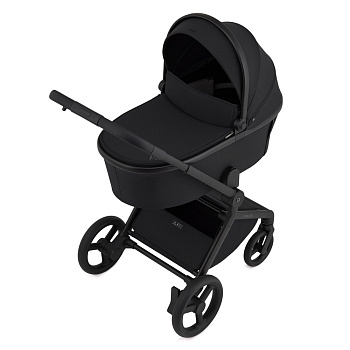 Коляска 2 в 1 ANEX Flo ((fl-05c) Lungo)