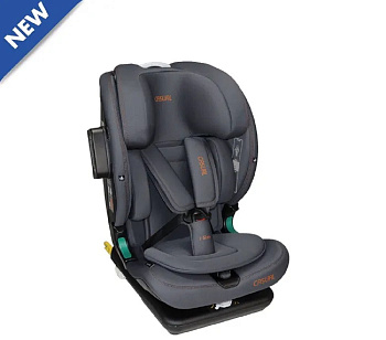 Автокресло CASUAL™ Goldfix Pro (Antrachite)