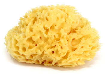 Губка натуральная морская для купания OK Baby Honeycomb