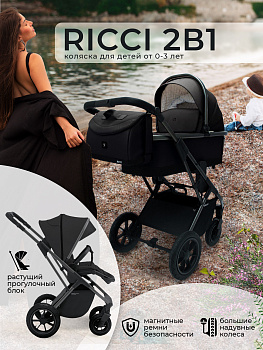 Коляска 2 в 1 Sweet Baby Ricci (Black (Air))