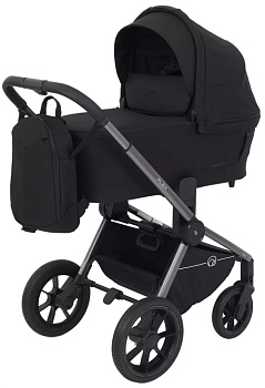 Коляска 3 в 1 RANT FLEX PRO (Black)