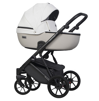 Коляска 2 в 1 RIKO BASIC MONTANA ECCO (32 White-Light Silver (белый-св.серый))