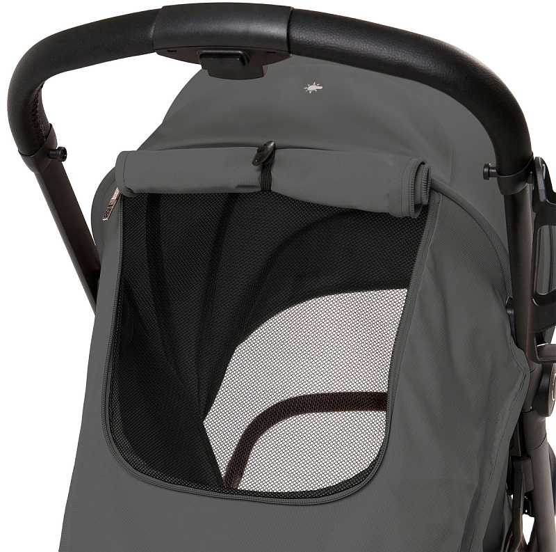 Sweet Baby Colibri Plus Dark Grey2