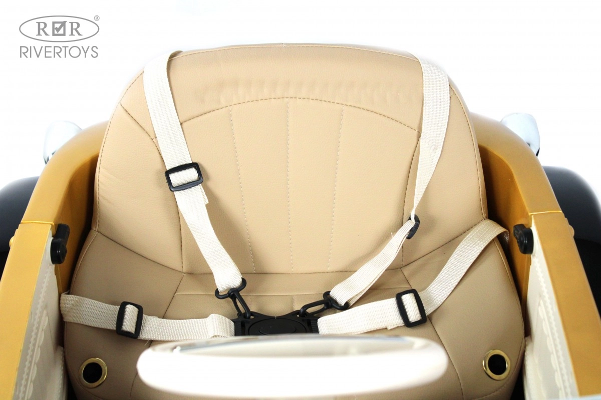 Детский электромобиль RiverToys X005XX черно-золотой ohinyvcwm94q0efrpn5oofseba7a8gvk