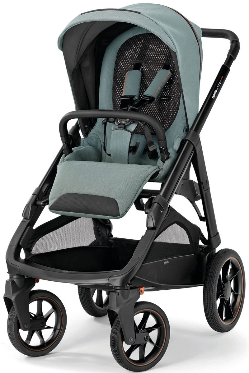 Прогулочная коляска Inglesina Aptica XT 2024  Igloo Grey drwy57umi6oq2eqivbcv3x0y2ds15th5