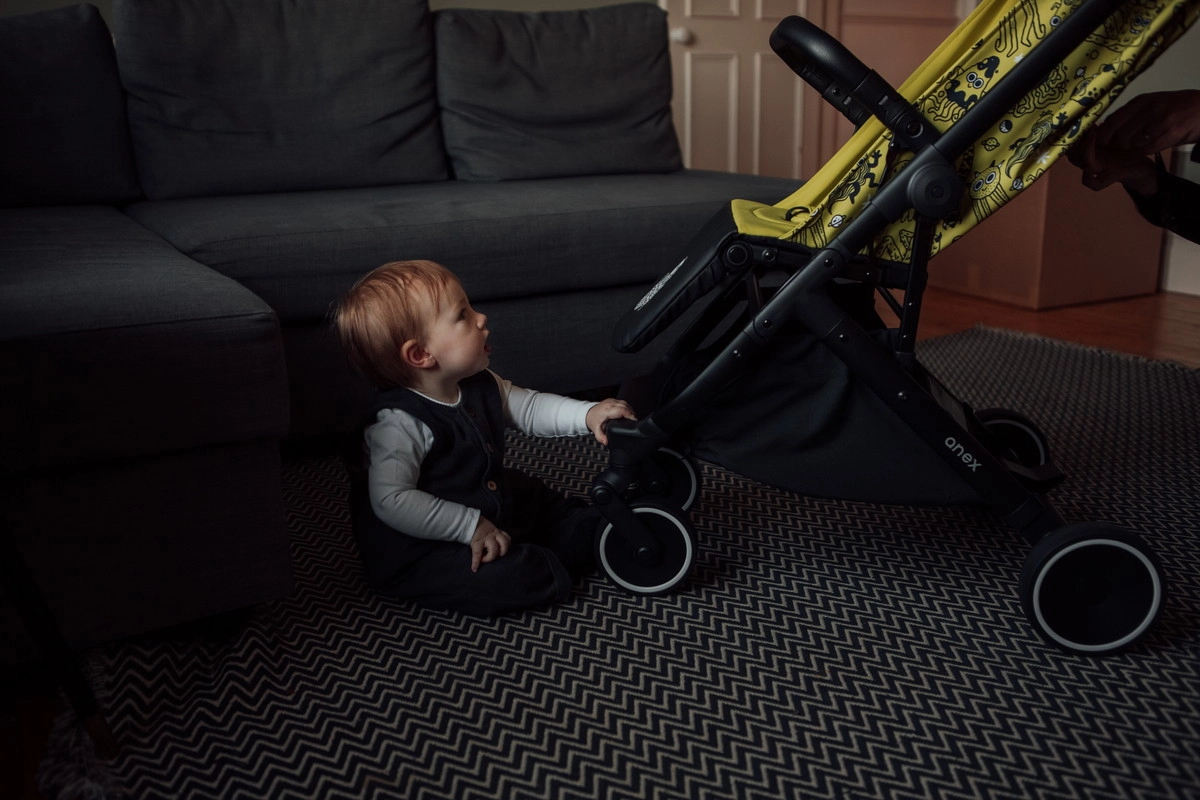 Прогулочная коляска Anex Air-X se woo tfzwjv22tndh7tn9ztliuwrifeonam8k