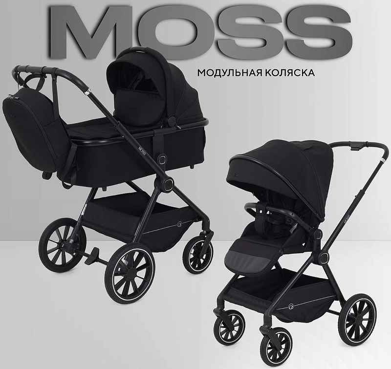 Детская коляска Rant Moss 2 в 1 Black1