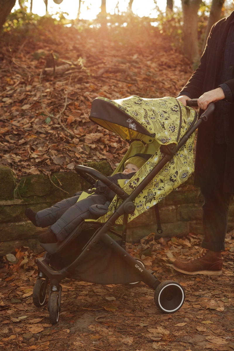 Прогулочная коляска Anex Air-X se woo 3vopyf5wdt7g2ki4cbqu4uto4gjqvngl