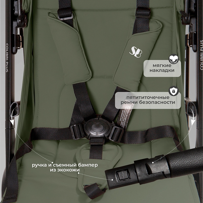 Baby Colibri Plus Green Forest15