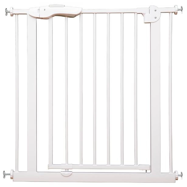 rlw8hb3fj758sxvgpr3npzj1irpuuhtt