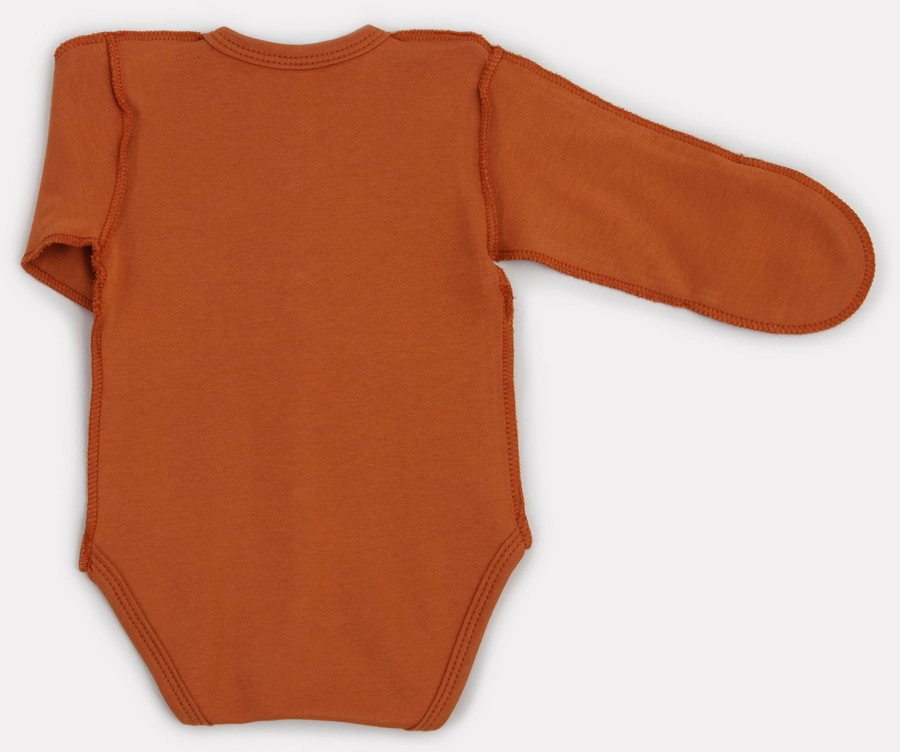 Боди Rant Hugs and Kisses с длинным рукавом 6472/6772 62 Curry Brown 27bahzowvlhpt1gi8l230u06lif9pag7