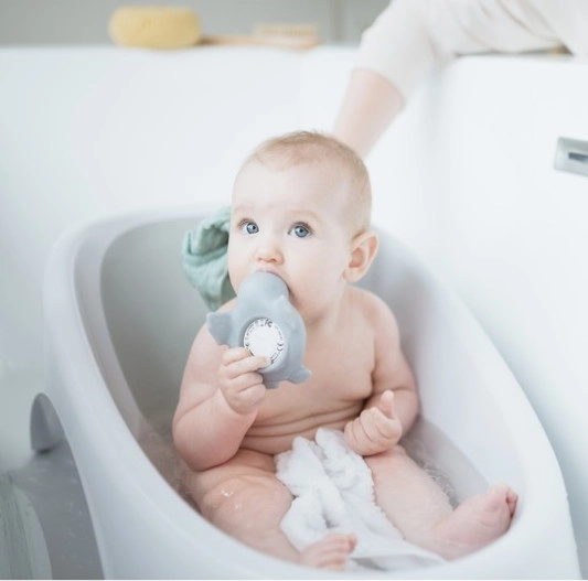 Ванночка-лежак для купания 2 в 1 AngelCare Baby Bathtub серый 9ngp47m8d08x2eq0ylrzqwzjmev5564t