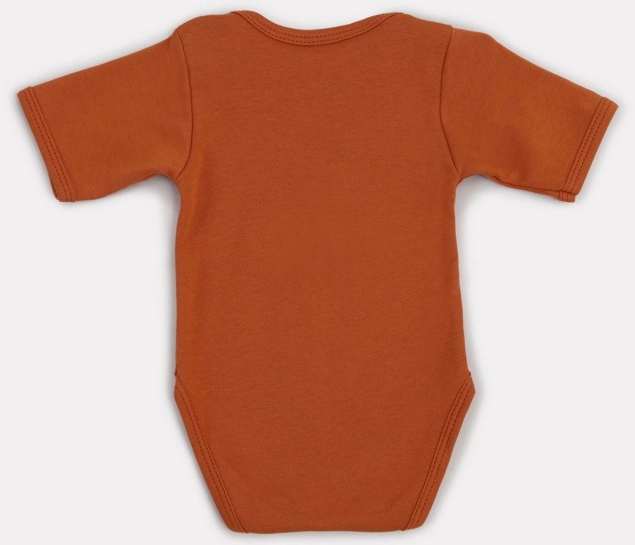 Боди Rant Hugs and Kisses с коротким рукавом 2 шт. 74 Curry Brown vru3yh9h8ylvogf4cyh0lelhmoiyo2bj