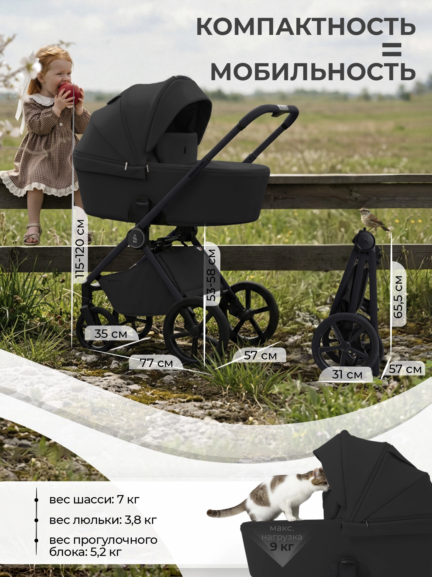 -03