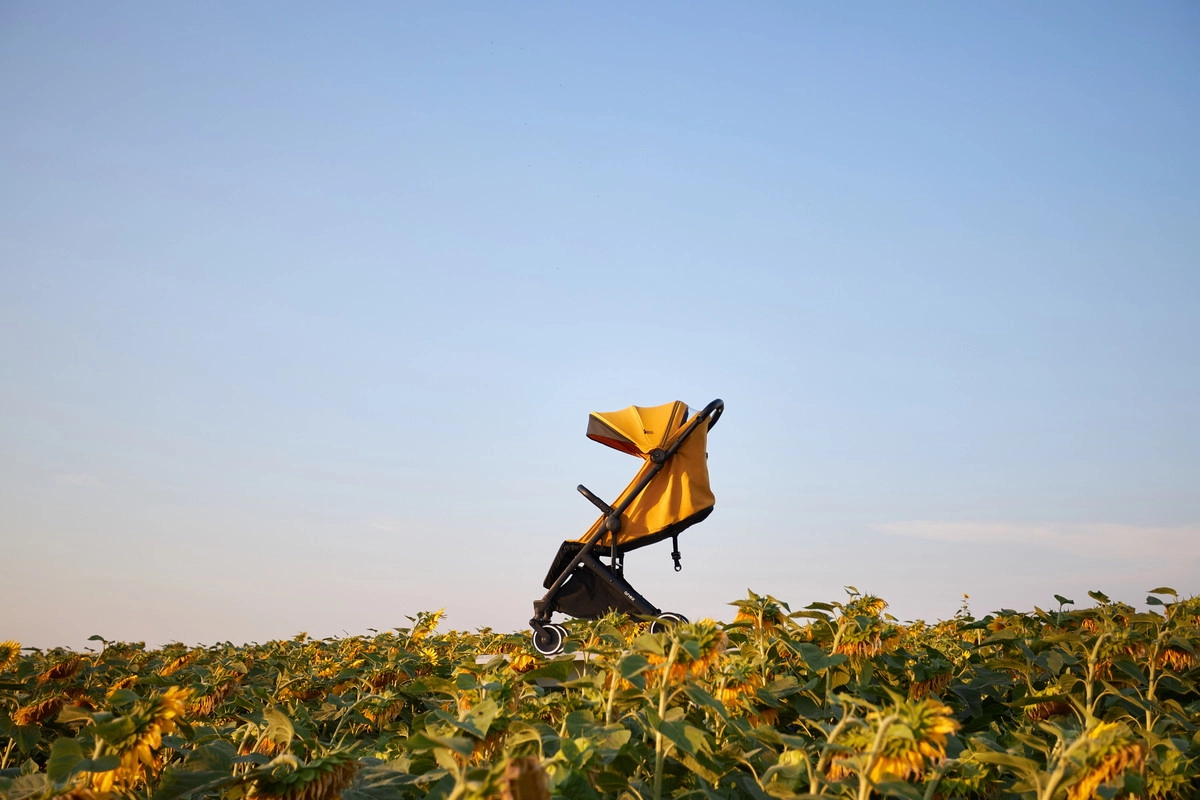 Прогулочная коляска Anex Air-X yellow envjr84e20d5zjxpa2xza2klpoisjdb0