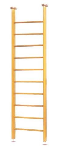 mwjgw4rv43dy3fficz5dn0m0c2ixu4rf