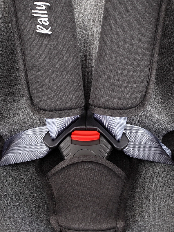 Автокресло Rant Basic Rally ZY19 (Grey)3