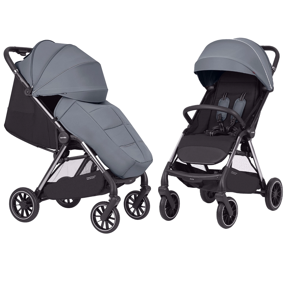 Прогулочная коляска CARRELLO Delta CRL-5517 Flint Grey c6bb75b130877bd34ac2e2b7b02fdaf4