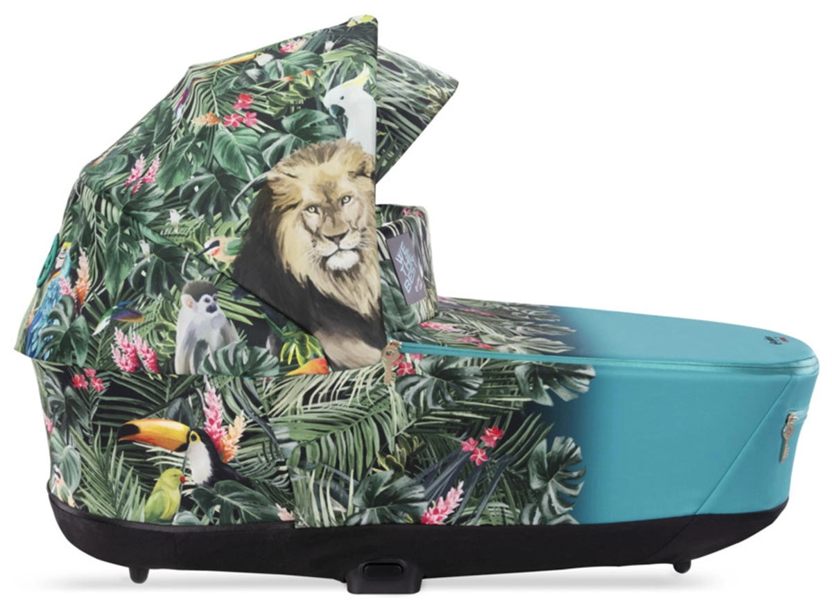 Спальный блок Cybex Priam IV We The Best yduoajn5882xov572xu4wcwkhl30okr9