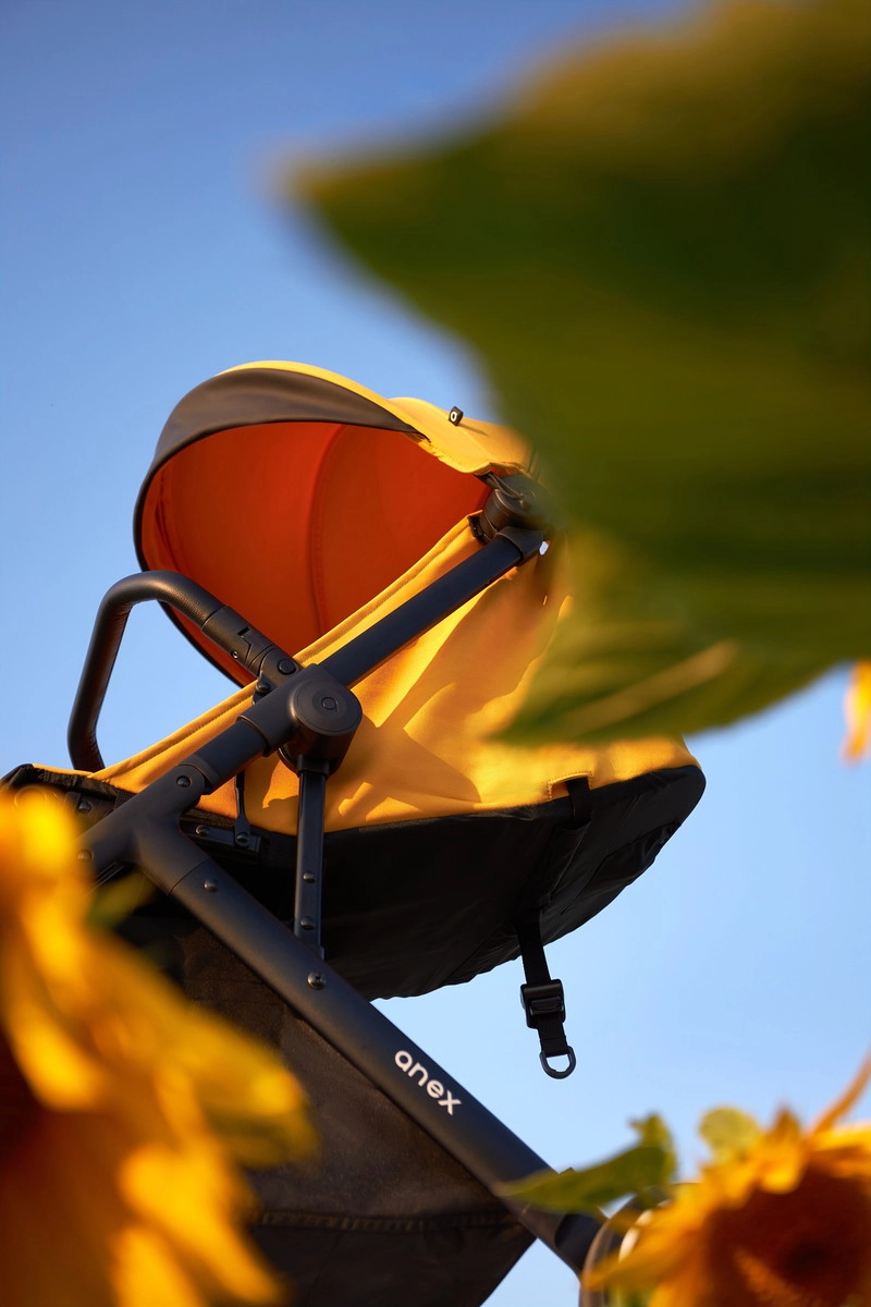 Прогулочная коляска Anex Air-X yellow yoyn05zk5ya19ncp13onm8b4a2yp4vy5