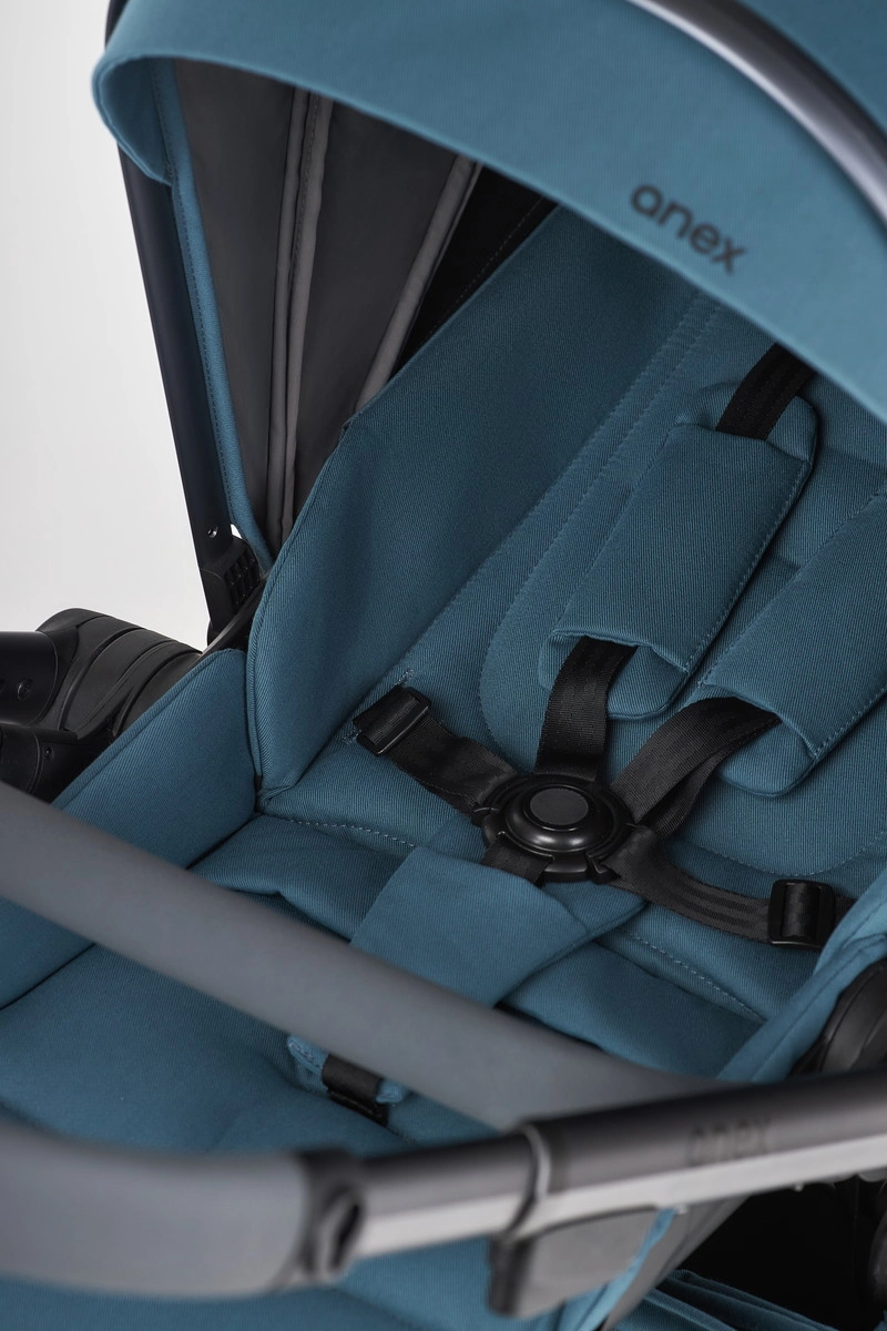 Детская коляска Anex l/type 2 в 1 с аксессуарами ocean jx29buzcj5vzqo6z01iuerpavt947j09