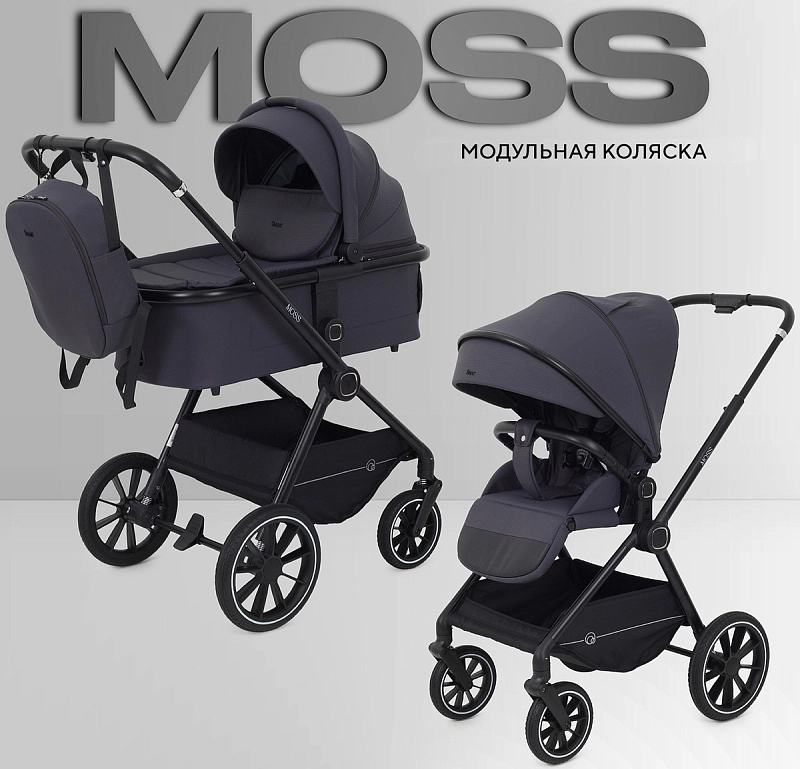 Детская коляска Rant Moss 2 в 1 Graphite1