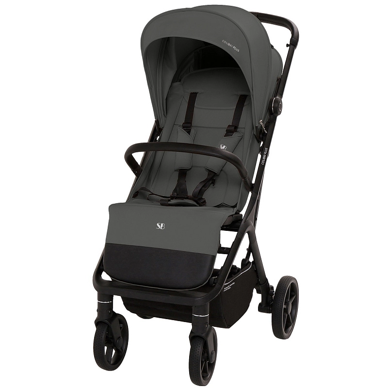 Sweet Baby Colibri Plus Dark Grey1