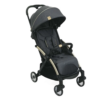 Прогулочная коляска Chicco Goody Plus
