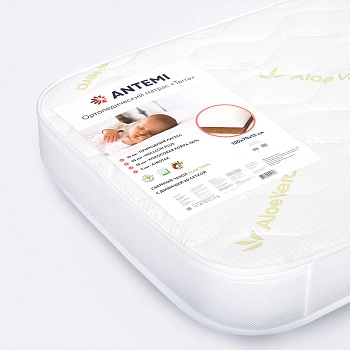 Матрас ANTEMI "TERRA" 100х70х12см