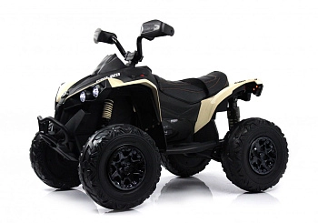 Детский электроквадроцикл RiverToys BRP Can-Am Renegade Y333YY (хаки)