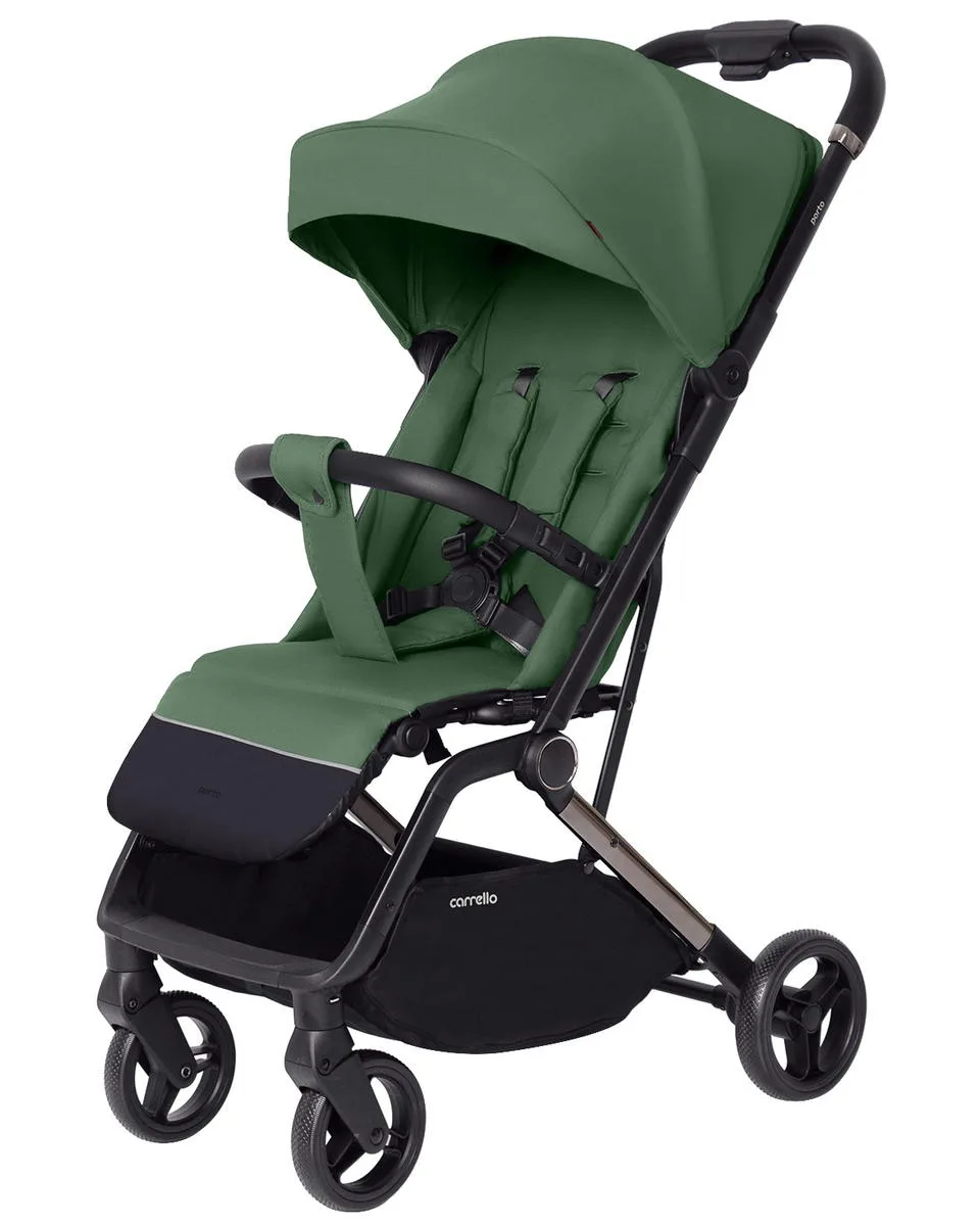 Прогулочная коляска Carrello Porto CRL-5522 Sparkle Green e3m0nkqg1r4ulkajvz2jhjezajm58saz